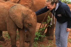 Titchy Tembo hoody
